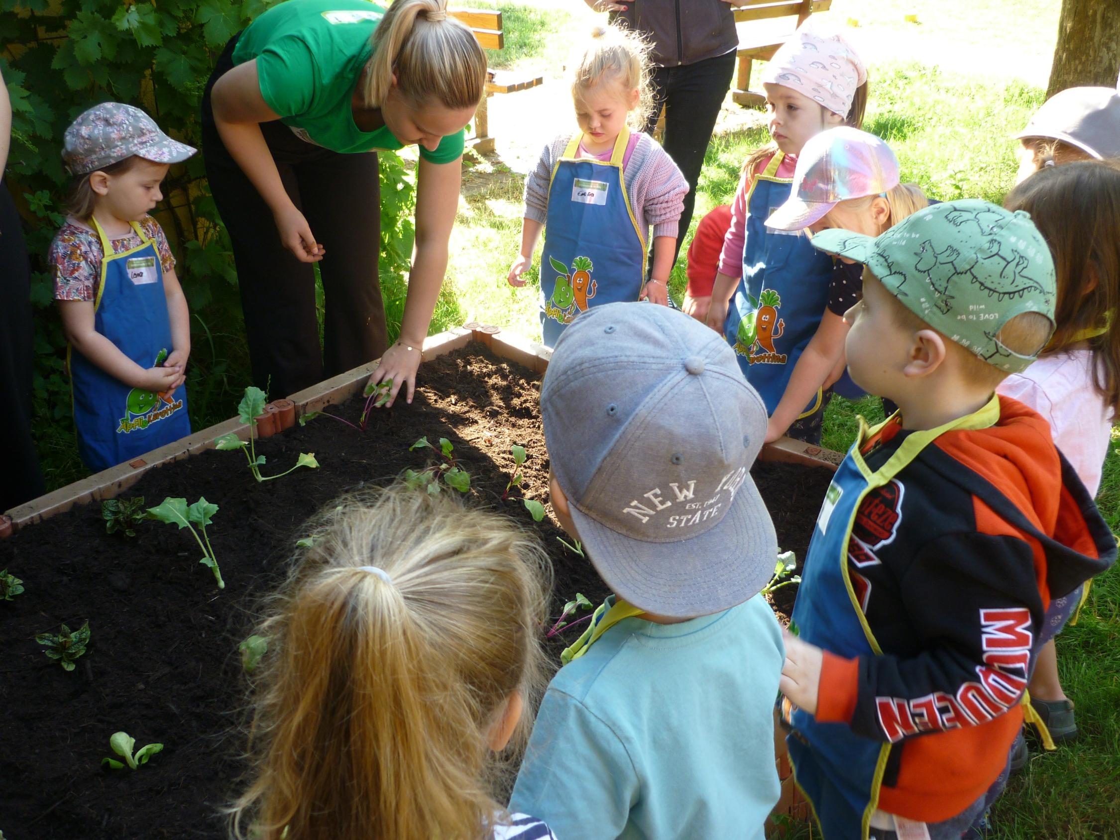 Garten-Beet-Aktion der Minis